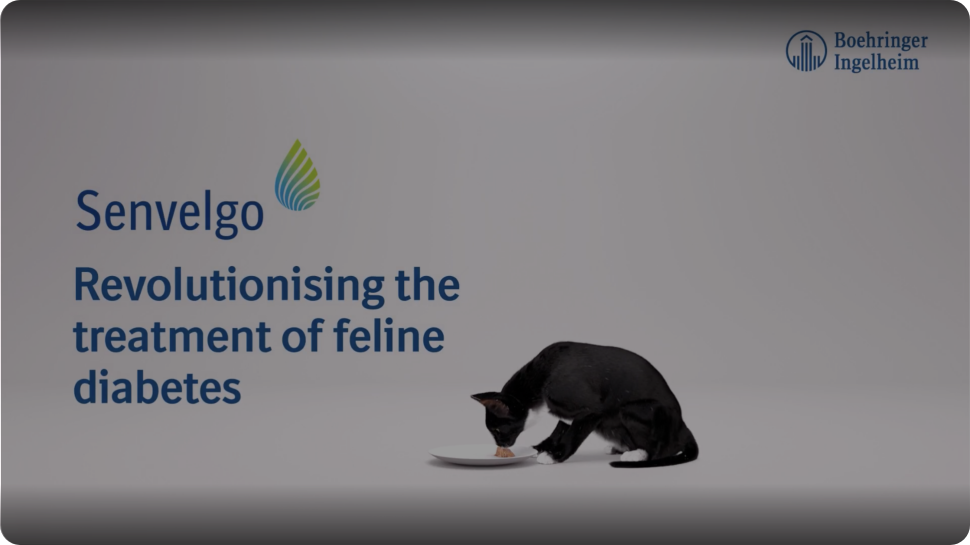 How Senvelgo® works SENVELGO IE VET